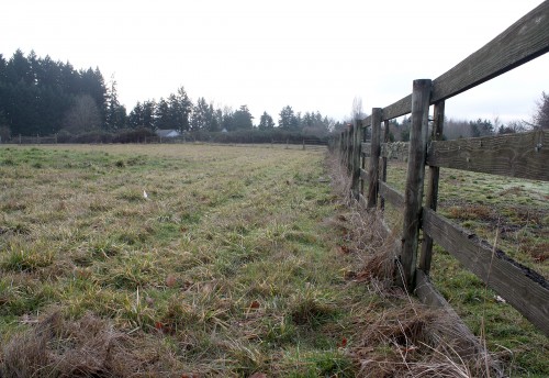 The field where the solar panels will be installed, just high enough so that the Rock Creek Farm's sheep can graze unimpeded below.