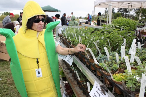 Last year, Rock Creek went bananas for herbs, face painting and Earthen oven cookies.