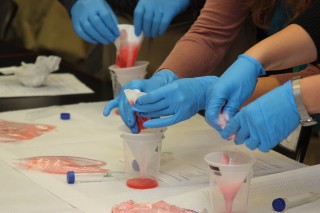 Strawberries get mashed up for a DNA test.