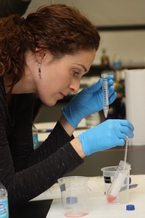 Naomi Allan of Welch Allyn extracts DNA from a strawberry during an advisory group meeting for the Bioscience Technology Program. The test helps the industry reps to see if it will work for students in a key class.