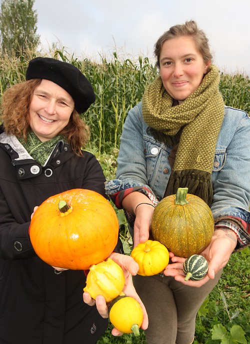 Sustainability staff Elaine Cole and Nora Lindsey have been hard at work planting, transplanting and nurturing this year’s crop of pumpkins in the Rock Creek patch.