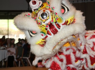 Festivities will begin with a traditional lion dance by the NW Learning Studio dance group followed by live martial arts, dances and music performances that represent countries across the Asian continent. 
