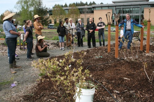 The Learning Garden produced 3,500 pounds of food for Rock Creek and Sylvania campus food services in 2013.