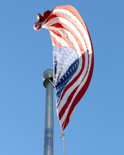 In honor of Veterans' Day, Tuesday, Nov. 11, the Sylvania Campus is hosting a four-day celebration of PCC's veterans.