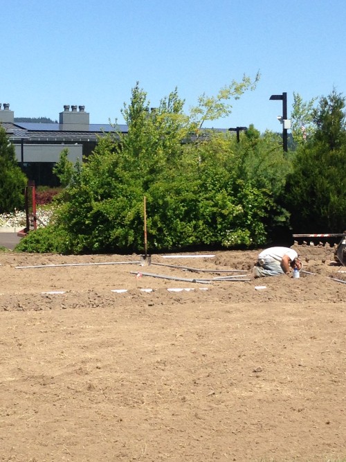 Like the Learning Gardens at the Rock Creek and Sylvania campuses, Newberg’s garden will provide a variety of learning opportunities.