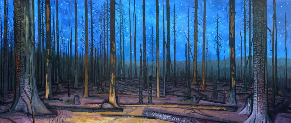 David Carmack Lewis's 'Burn,' depicting the Cascade Creek Fire in Mt. Adams, Wash.), 2013, oil on canvas.