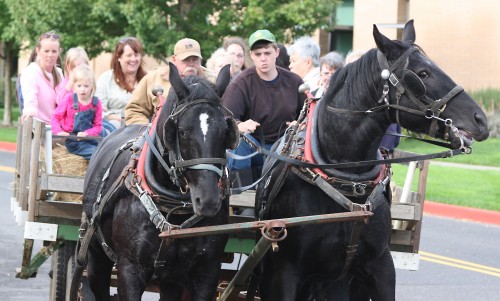Come to Harvest Festival and enjoy a hayride.
