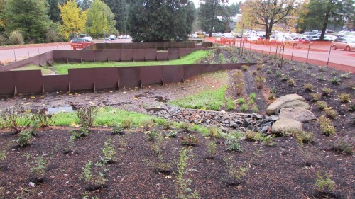 The detention pond, with its layers of plants, filters pollutants from the water, slows the water flow and reduces erosion.