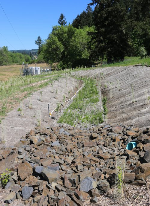 The bond work also added energy-efficient LED lamp posts, extensive landscaping and a large bioswale, which helps protects the wetlands area to the north from stormwater runoff.
