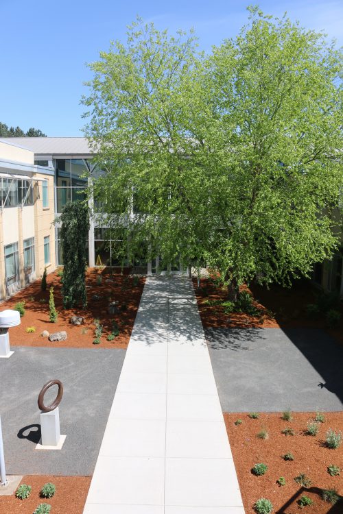 Deep shade and severe sunlight, a walking path, six benches, three sculptures and an exterior stairwell all added to the complexity of the design.