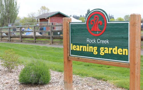 Locally sourcing food from community gardens on campuses helps PCC meet its climate goals.