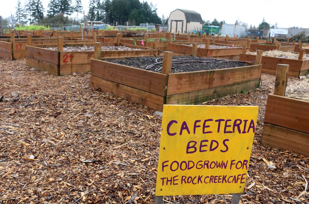 PCC's sustainability team has worked with Food Services to source local food options, including produce from the Rock Creek campus-learning garden.